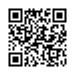 T38462-09-0 QRCode