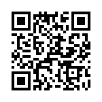 T38462-12-0 QRCode