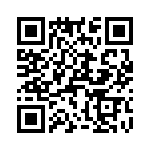 T38463-08-0 QRCode