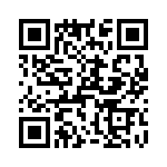 T38463-12-0 QRCode