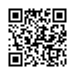 T38463-13-0 QRCode