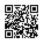 T38463-20-0 QRCode