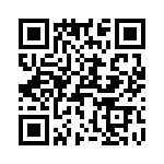 T38511-09-0 QRCode