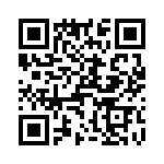 T38512-06-0 QRCode