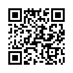 T38512-17-0 QRCode