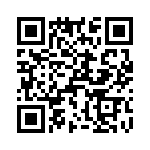 T38513-24-0 QRCode