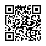 T38520-13-0 QRCode