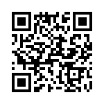 T38523-02-0 QRCode