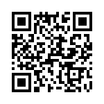 T38523-17-0 QRCode