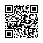 T38528-07-0 QRCode