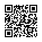 T38528-11-0 QRCode