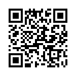 T38530-04-0 QRCode