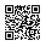 T38530-22-0 QRCode