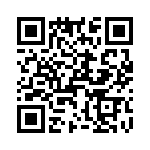 T38530-25-0 QRCode