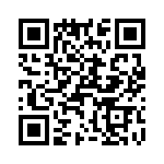 T38532-04-0 QRCode