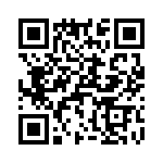 T38533-05-0 QRCode