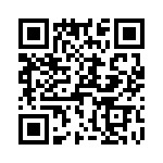 T38533-10-0 QRCode