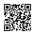 T38533-21-0 QRCode