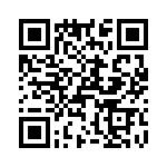 T38535-02-0 QRCode