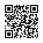 T38538-21-0 QRCode