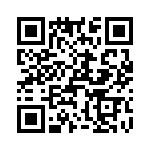 T38545-03-0 QRCode