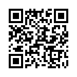 T38545-12-0 QRCode