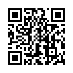 T38545-17-0 QRCode