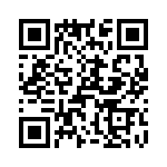 T38548-13-0 QRCode