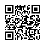 T38560-03-0 QRCode