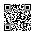 T38560-15-0 QRCode