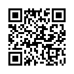 T38561-03-0 QRCode