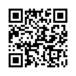 T38562-17-0 QRCode