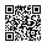 T38563-03-0 QRCode