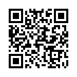 T40304500000G QRCode