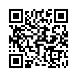 T507028044AQ QRCode