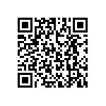 T86E336K025EASS QRCode