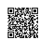 T95R127K020LSSL QRCode