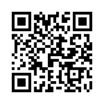 T9G0101003DH QRCode