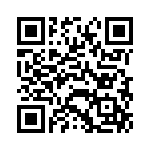 TH0401010000G QRCode