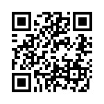 TH13 QRCode