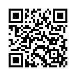 TH1701010000G QRCode