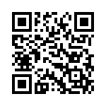 TS04513A0000G QRCode