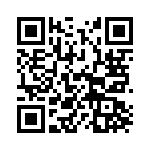 V110C28T100BG2 QRCode