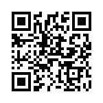 V20E30P QRCode