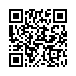 V24B48T150BG2 QRCode