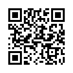 V24C12T100BG QRCode