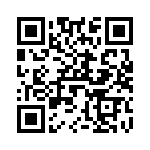 V24C3V3T75B3 QRCode