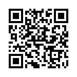 V300A24E400BG3 QRCode