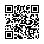 V300A8T400BG3 QRCode