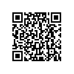 V300B3V3E100BL2 QRCode